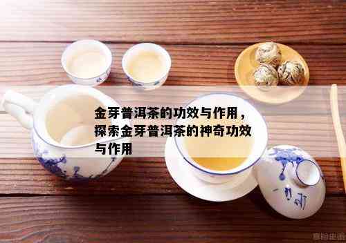 金芽普洱茶的功效与作用，探索金芽普洱茶的神奇功效与作用