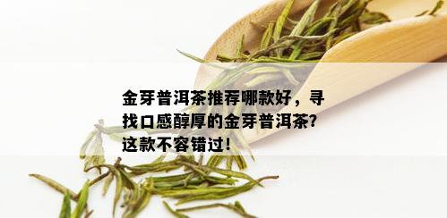 金芽普洱茶推荐哪款好，寻找口感醇厚的金芽普洱茶？这款不容错过！