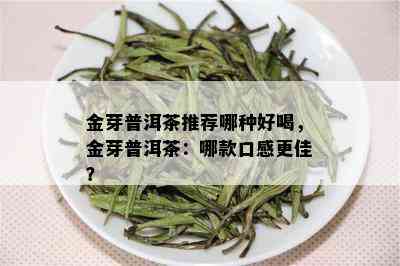 金芽普洱茶推荐哪种好喝，金芽普洱茶：哪款口感更佳？