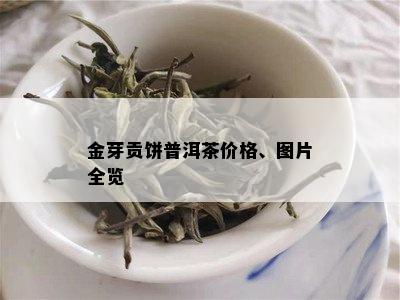 金芽贡饼普洱茶价格、图片全览