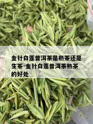 金针白莲普洱茶是熟茶还是生茶-金针白莲普洱茶熟茶的好处