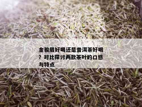 金骏眉好喝还是普洱茶好喝？对比探讨两款茶叶的口感与特点