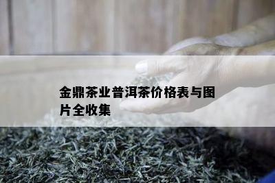 金鼎茶业普洱茶价格表与图片全收集