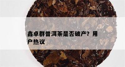 鑫卓群普洱茶是否破产？用户热议