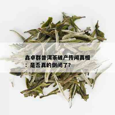 鑫卓群普洱茶破产传闻真相：是否真的倒闭了？