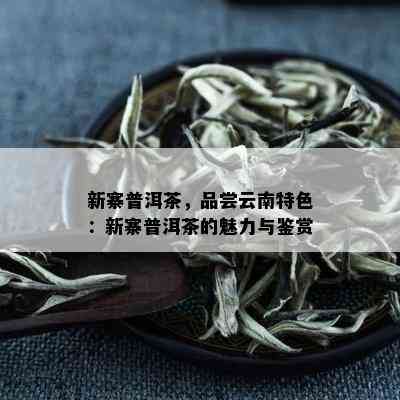 新寨普洱茶，品尝云南特色：新寨普洱茶的魅力与鉴赏