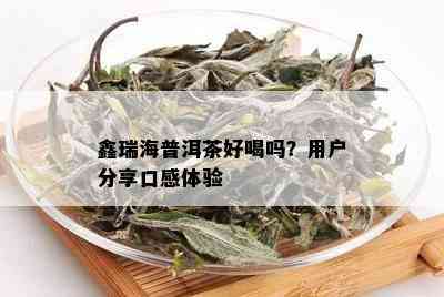 鑫瑞海普洱茶好喝吗？用户分享口感体验