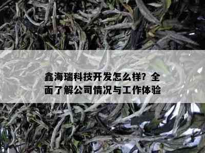 鑫海瑞科技开发怎么样？全面了解公司情况与工作体验