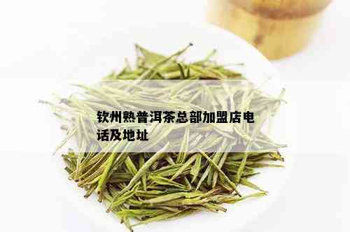 钦州熟普洱茶总部加盟店电话及地址