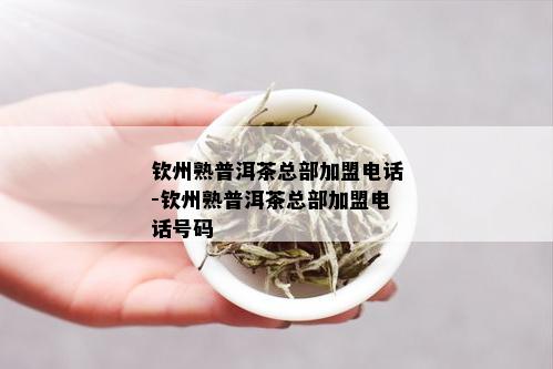 钦州熟普洱茶总部加盟电话-钦州熟普洱茶总部加盟电话号码