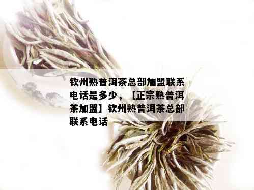 钦州熟普洱茶总部加盟联系电话是多少，【正宗熟普洱茶加盟】钦州熟普洱茶总部联系电话