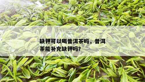 缺钾可以喝普洱茶吗，普洱茶能补充缺钾吗？