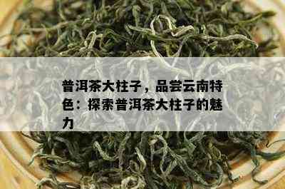 普洱茶大柱子，品尝云南特色：探索普洱茶大柱子的魅力