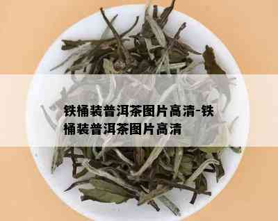 铁桶装普洱茶图片高清-铁桶装普洱茶图片高清