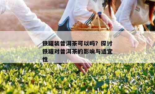 铁罐装普洱茶可以吗？探讨铁罐对普洱茶的影响与适宜性