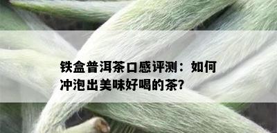 铁盒普洱茶口感评测：如何冲泡出美味好喝的茶？