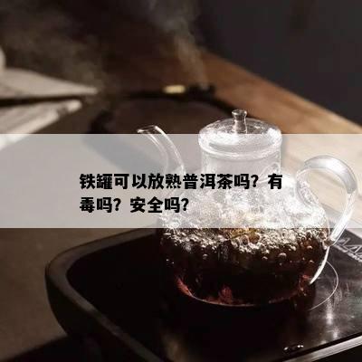 铁罐可以放熟普洱茶吗？有吗？安全吗？