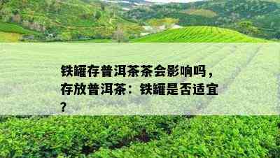 铁罐存普洱茶茶会影响吗，存放普洱茶：铁罐是否适宜？