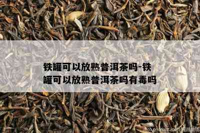 铁罐可以放熟普洱茶吗-铁罐可以放熟普洱茶吗有吗