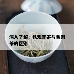 深入了解：铁观音茶与普洱茶的区别