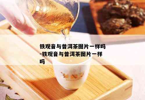 铁观音与普洱茶图片一样吗-铁观音与普洱茶图片一样吗