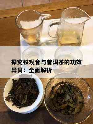 探究铁观音与普洱茶的功效异同：全面解析