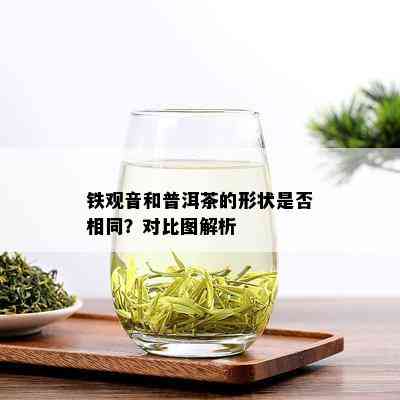 铁观音和普洱茶的形状是否相同？对比图解析