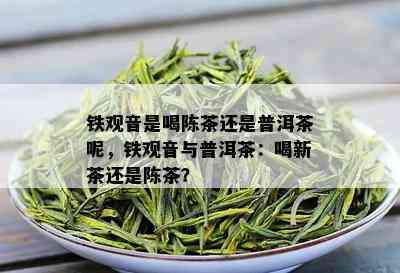 铁观音是喝陈茶还是普洱茶呢，铁观音与普洱茶：喝新茶还是陈茶？