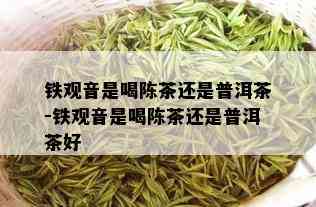 铁观音是喝陈茶还是普洱茶-铁观音是喝陈茶还是普洱茶好