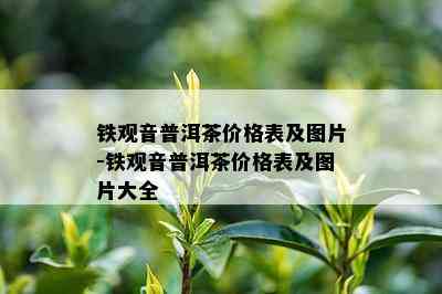 铁观音普洱茶价格表及图片-铁观音普洱茶价格表及图片大全