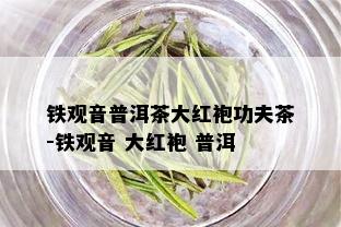 铁观音普洱茶大红袍功夫茶-铁观音 大红袍 普洱