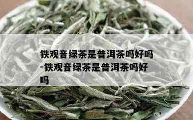 铁观音绿茶是普洱茶吗好吗-铁观音绿茶是普洱茶吗好吗