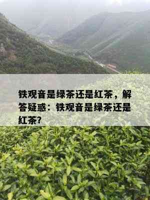 铁观音是绿茶还是红茶，解答疑惑：铁观音是绿茶还是红茶？