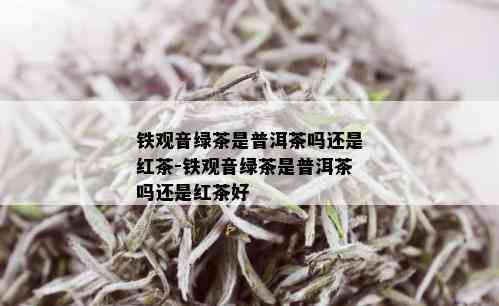 铁观音绿茶是普洱茶吗还是红茶-铁观音绿茶是普洱茶吗还是红茶好