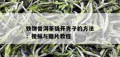 铁饼普洱茶撬开壳子的方法：视频与图片教程