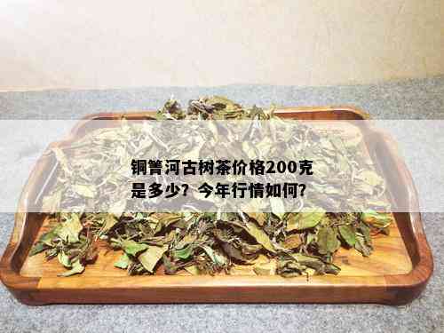 铜箐河古树茶价格200克是多少？今年行情如何？