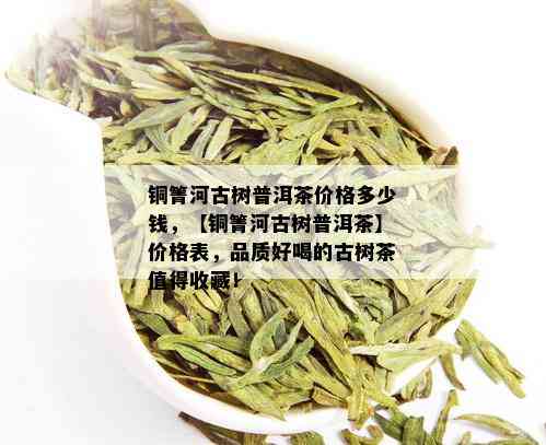 铜箐河古树普洱茶价格多少钱，【铜箐河古树普洱茶】价格表，品质好喝的古树茶值得收藏！