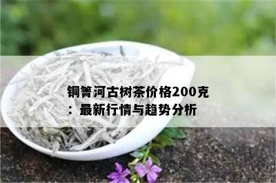 铜箐河古树茶价格200克：最新行情与趋势分析