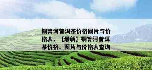 铜箐河普洱茶价格图片与价格表，【最新】铜箐河普洱茶价格、图片与价格表查询