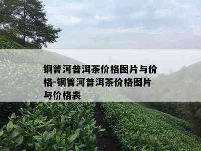 铜箐河普洱茶价格图片与价格-铜箐河普洱茶价格图片与价格表