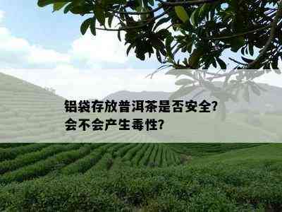 铝袋存放普洱茶是否安全？会不会产生性？