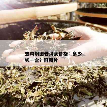 查询银圆普洱茶价格：多少钱一盒？附图片