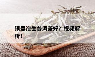 银壶泡生普洱茶好？视频解析！