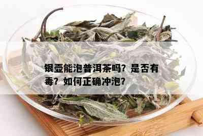 银壶能泡普洱茶吗？是否有？如何正确冲泡？