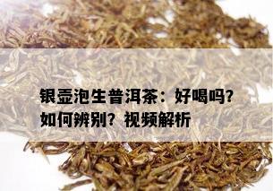 银壶泡生普洱茶：好喝吗？如何辨别？视频解析