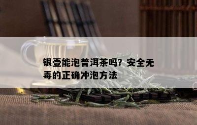 银壶能泡普洱茶吗？安全无的正确冲泡方法