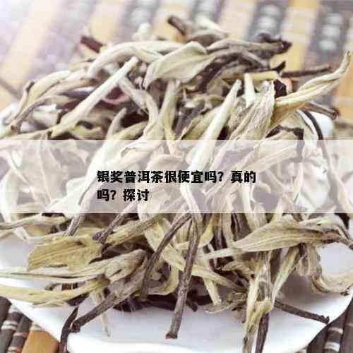 银奖普洱茶很便宜吗？真的吗？探讨