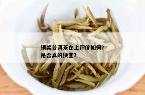 银奖普洱茶在上评价如何？是否真的便宜？