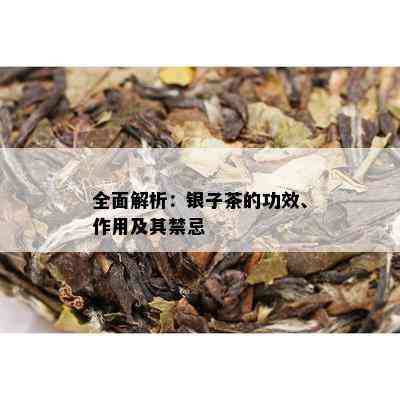 全面解析：银子茶的功效、作用及其禁忌