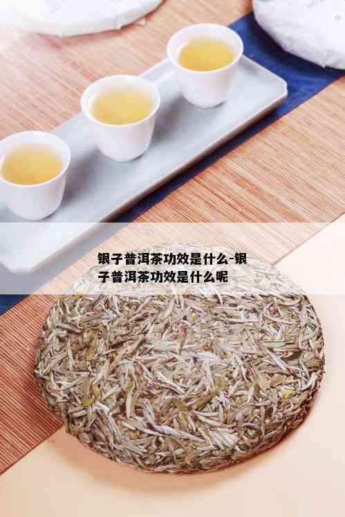 银子普洱茶功效是什么-银子普洱茶功效是什么呢